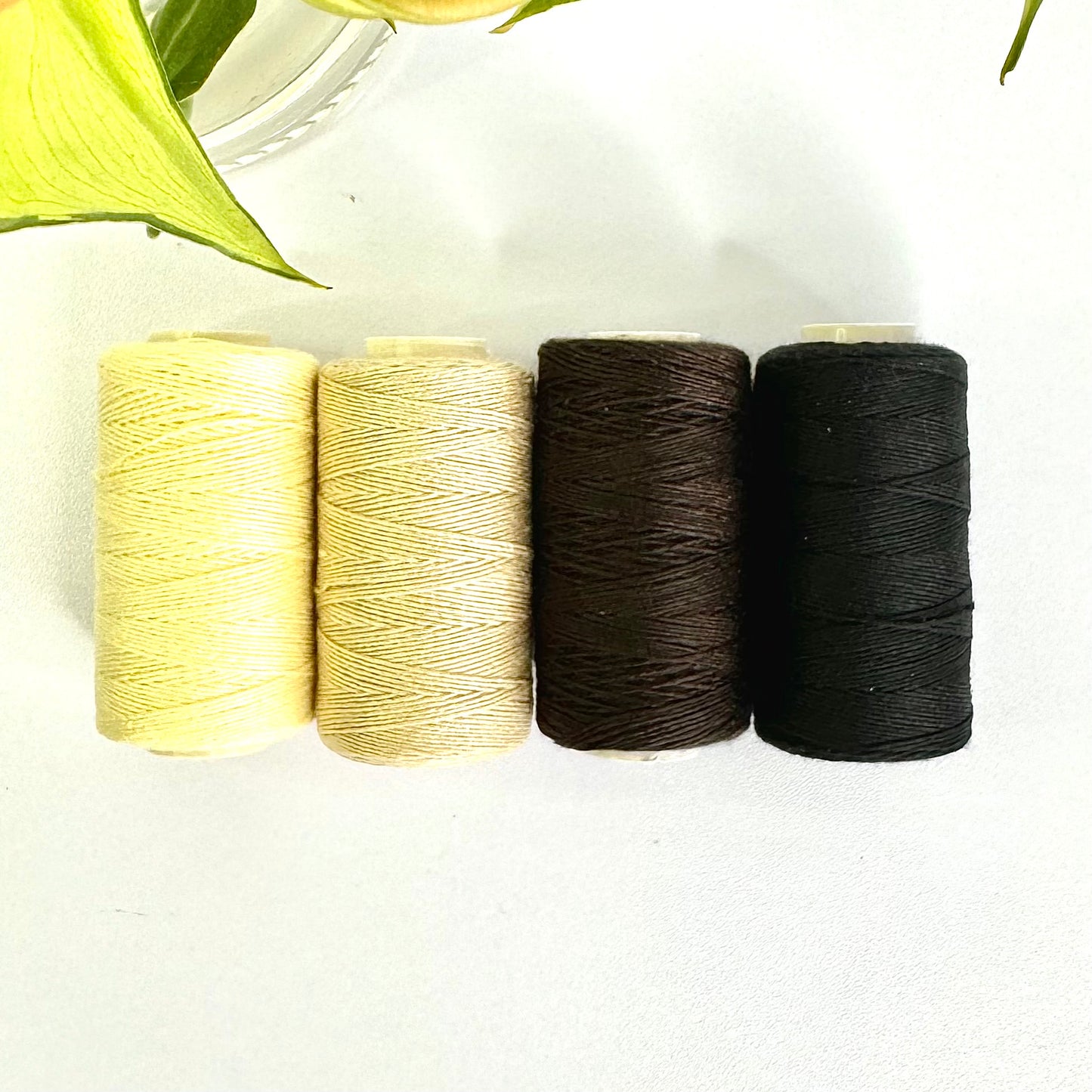 Evie Sean Hair Cotton Thread