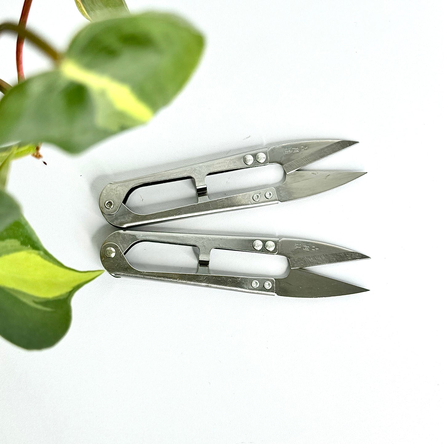 Evie Sean Hair Mini Sewing Scissors