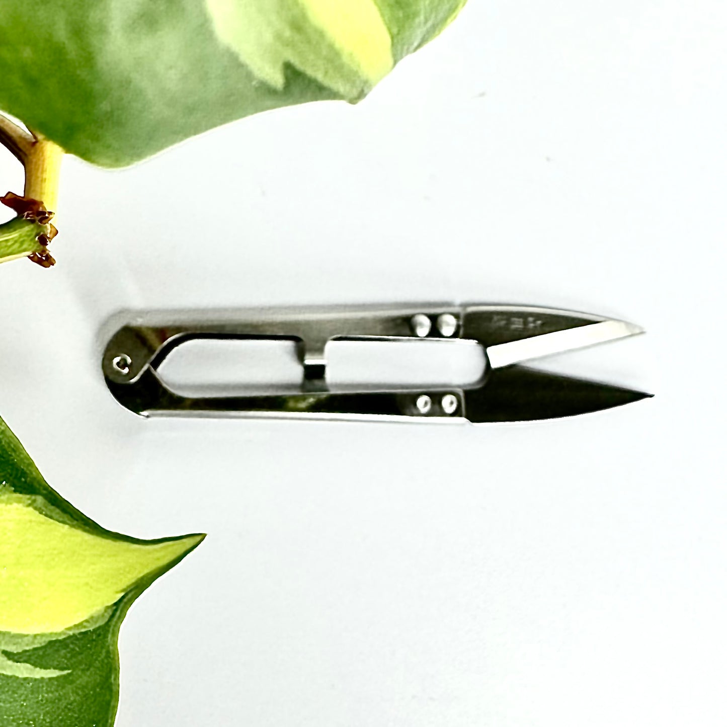 Evie Sean Hair Mini Sewing Scissors