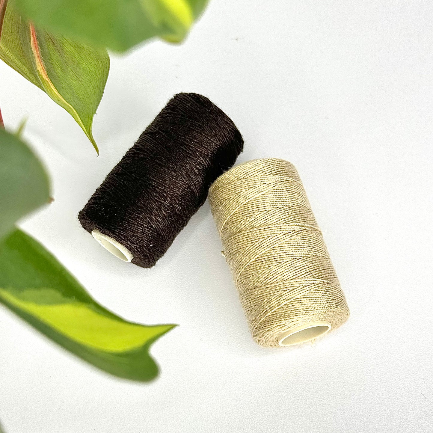 Evie Sean Hair Cotton Thread Multipack