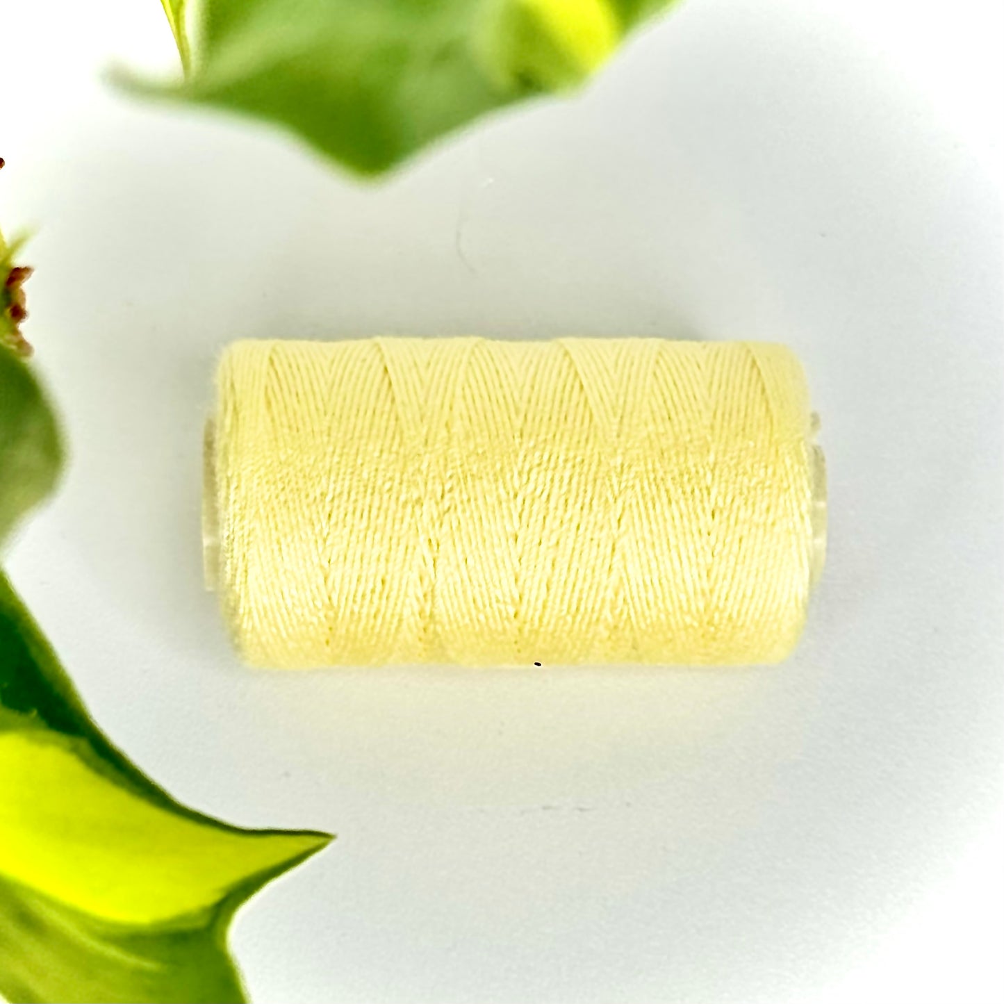 Evie Sean Hair Cotton Thread Multipack