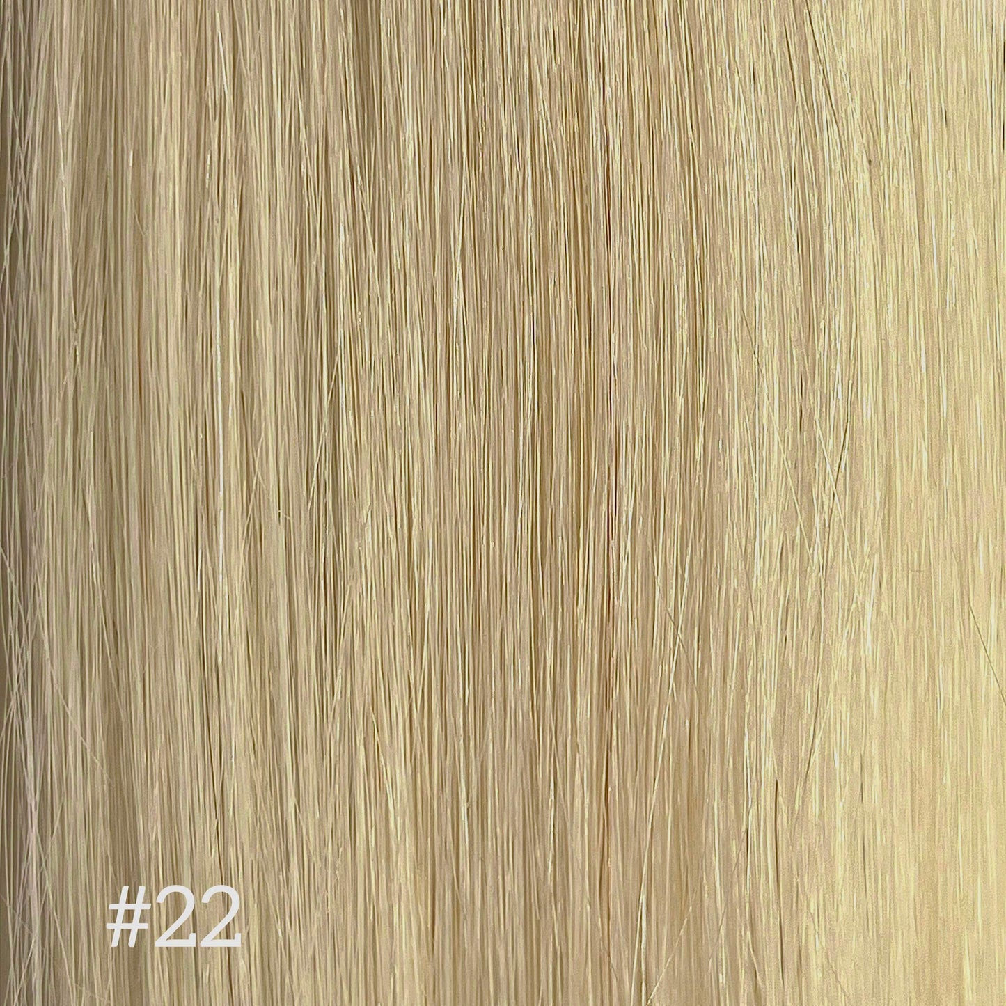 Classic Machine Weft - 5og #22 Taylor 24"